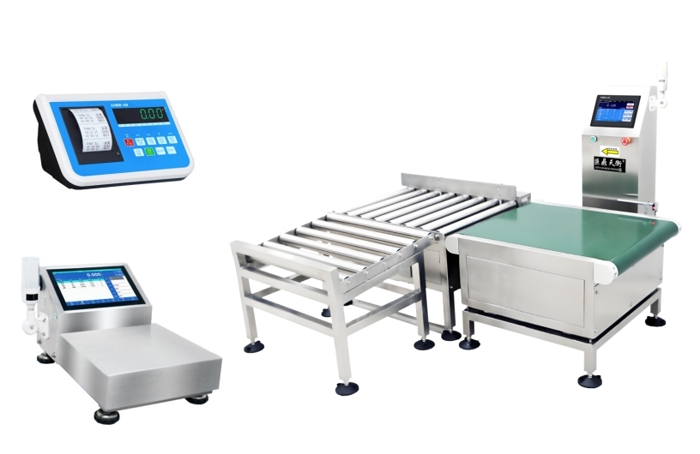 Checkweigher Scale